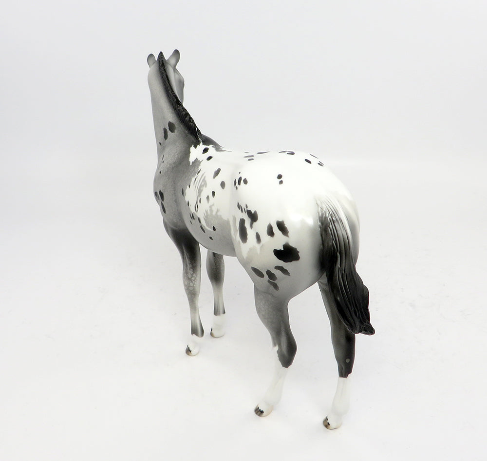 Appaloosa