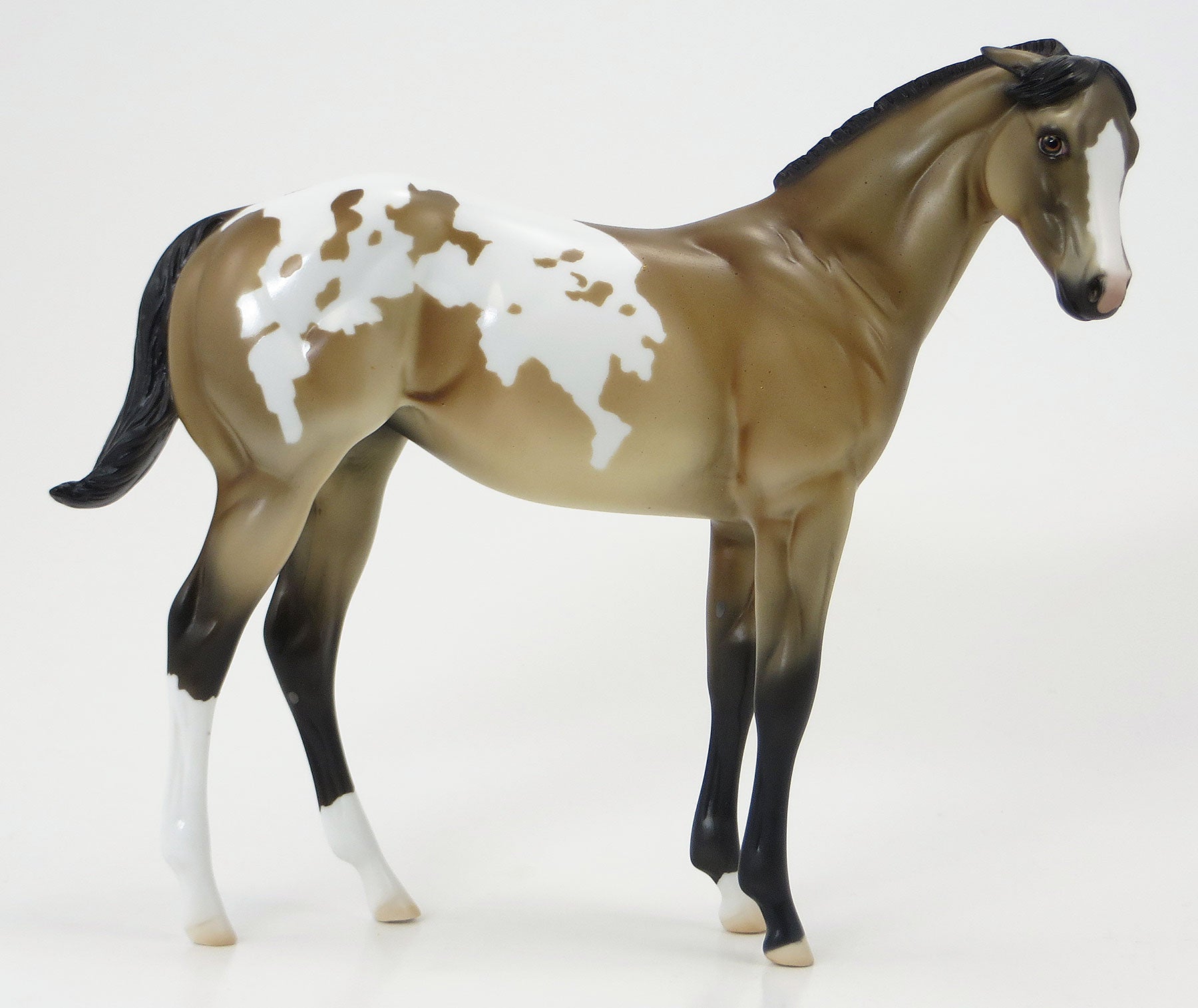 WINNIE THE POOH- OOAK Buckskin Appy Weanling 6/19