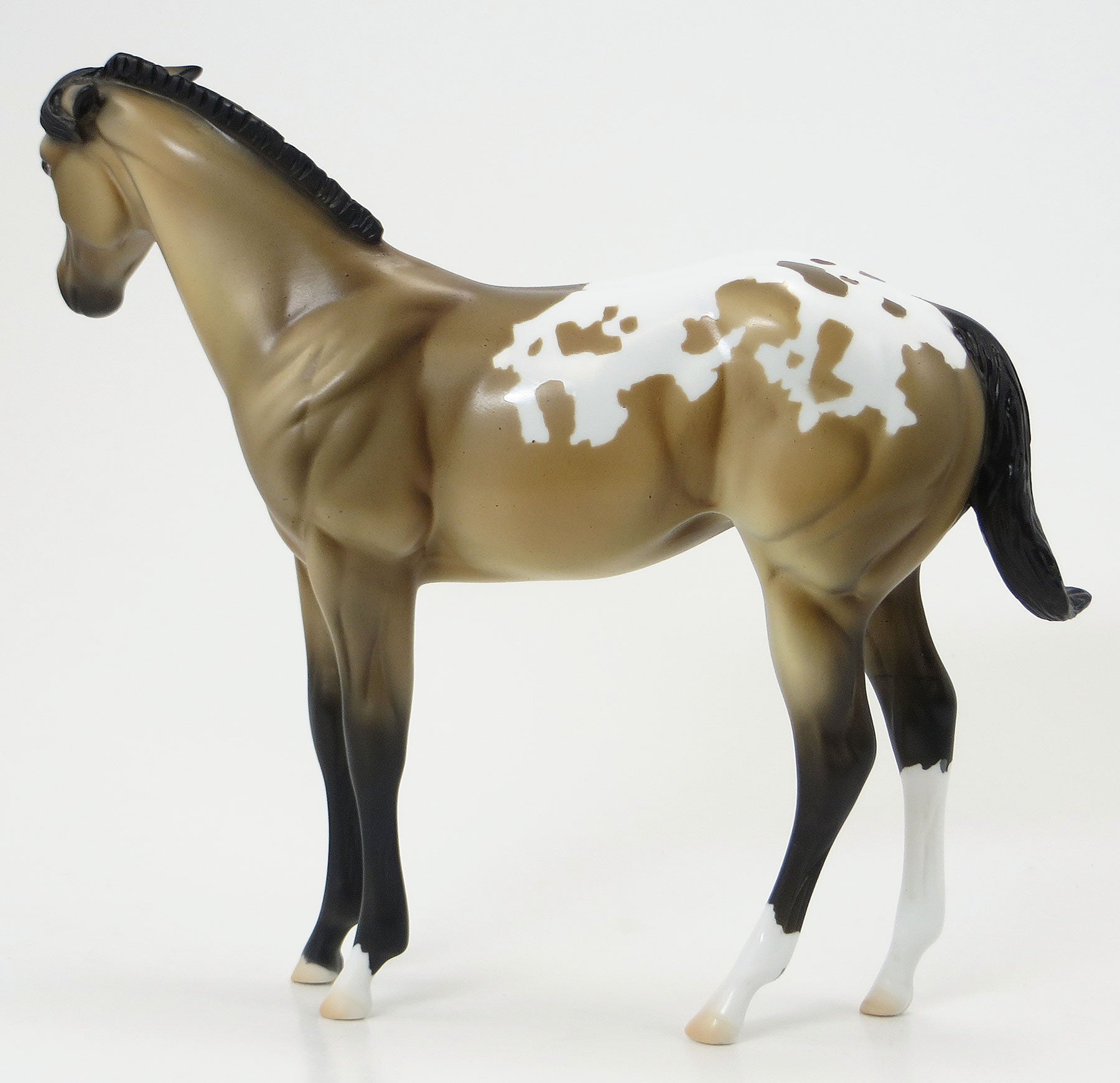 WINNIE THE POOH- OOAK Buckskin Appy Weanling 6/19