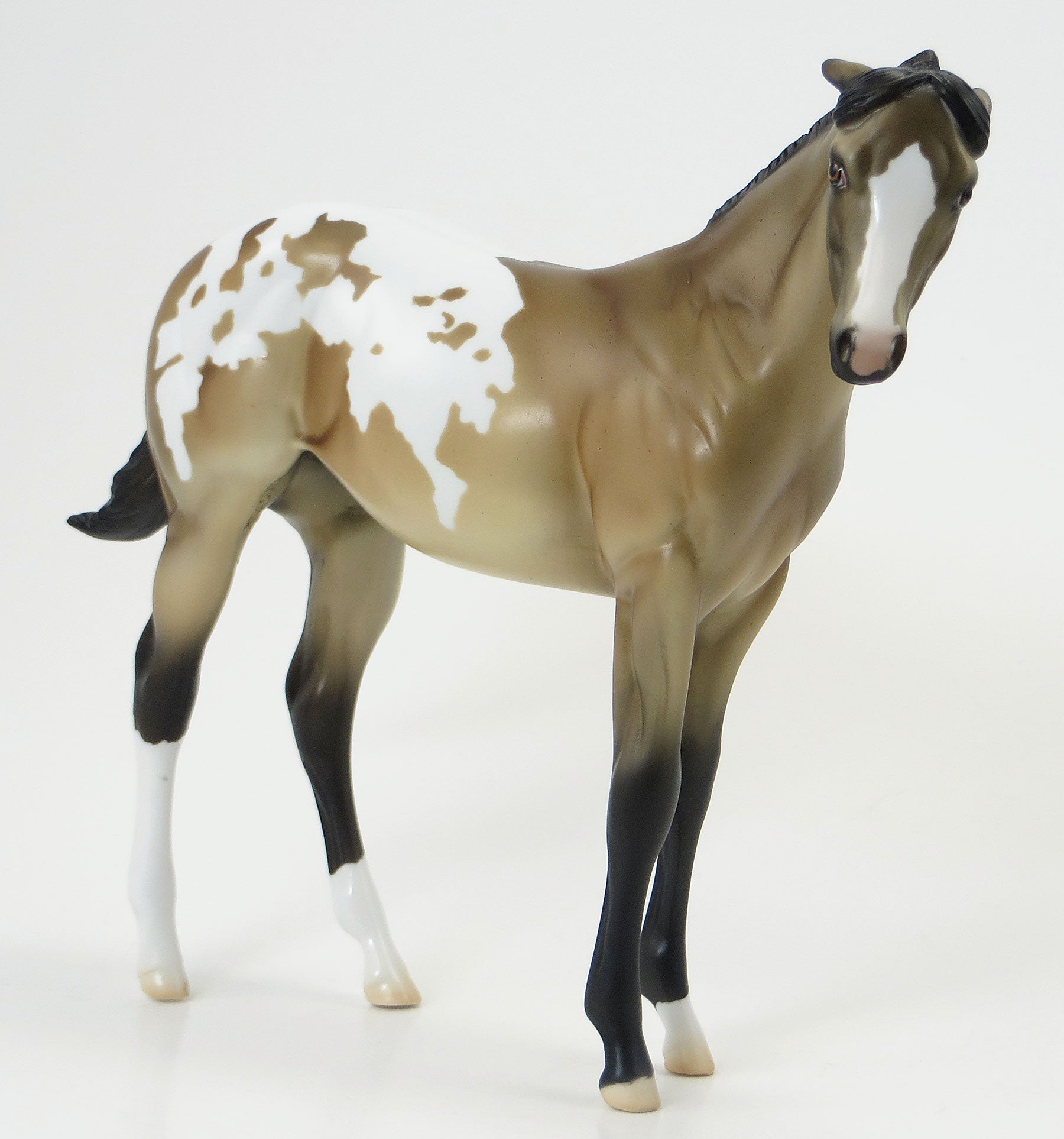 WINNIE THE POOH- OOAK Buckskin Appy Weanling 6/19