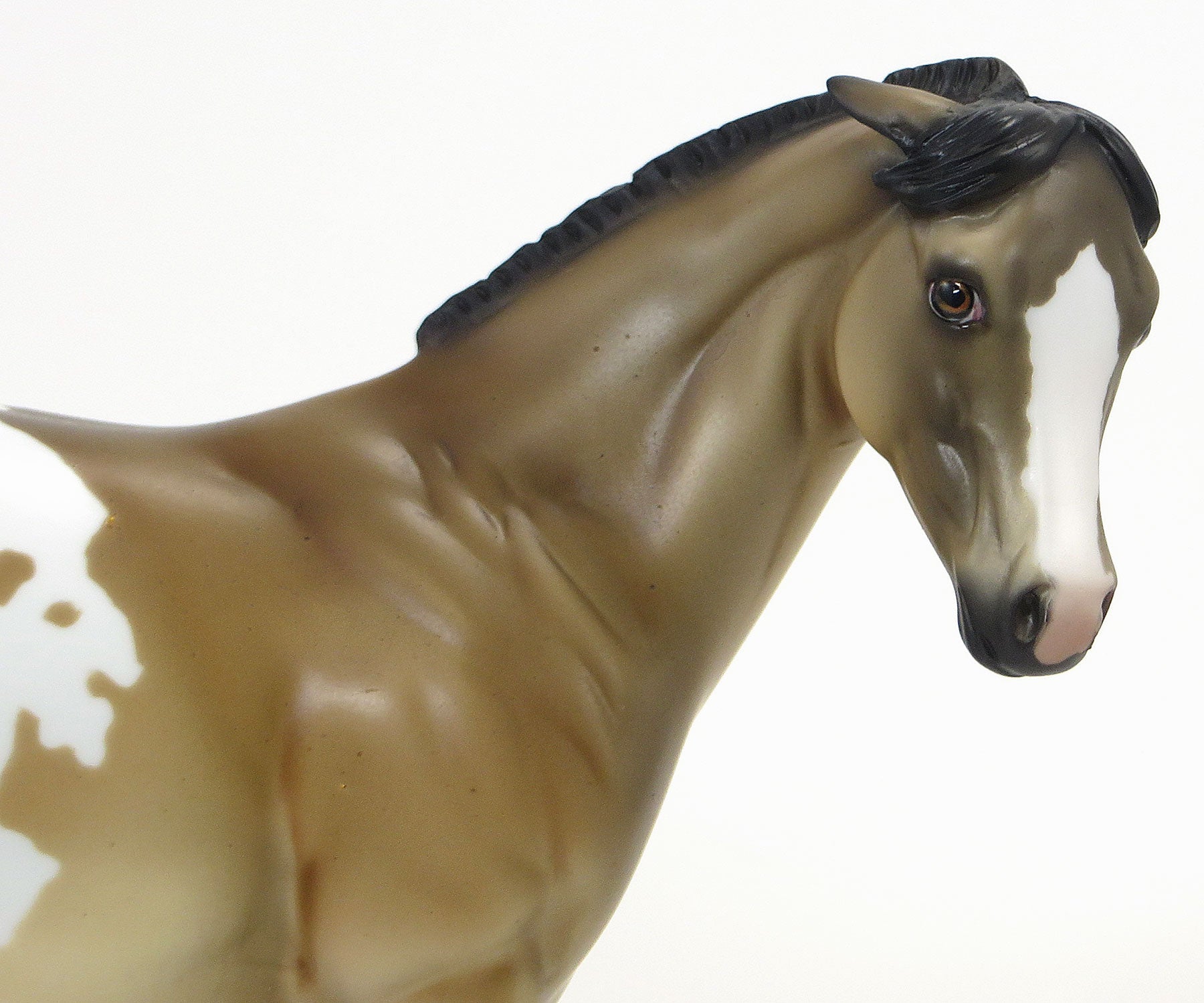 WINNIE THE POOH- OOAK Buckskin Appy Weanling 6/19