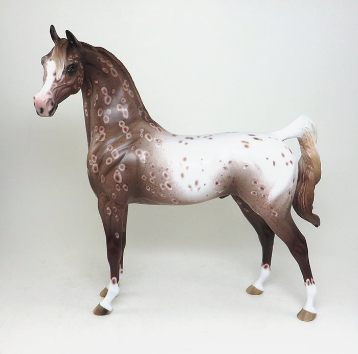 arabian one of a kind