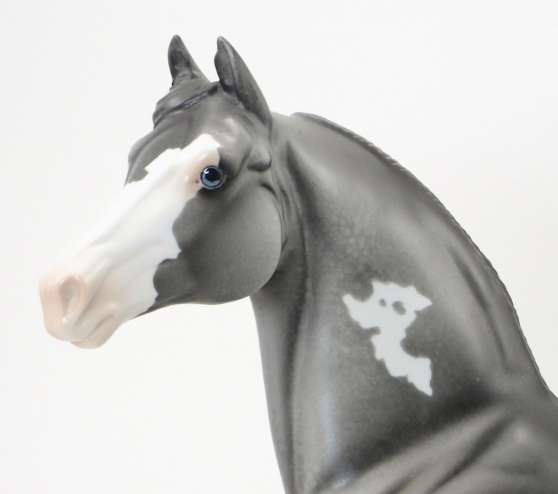 RAINBOW FISH - OOAK Grey Appaloosa Morgan with Pink Ribbons &amp; Flowers - 6/19