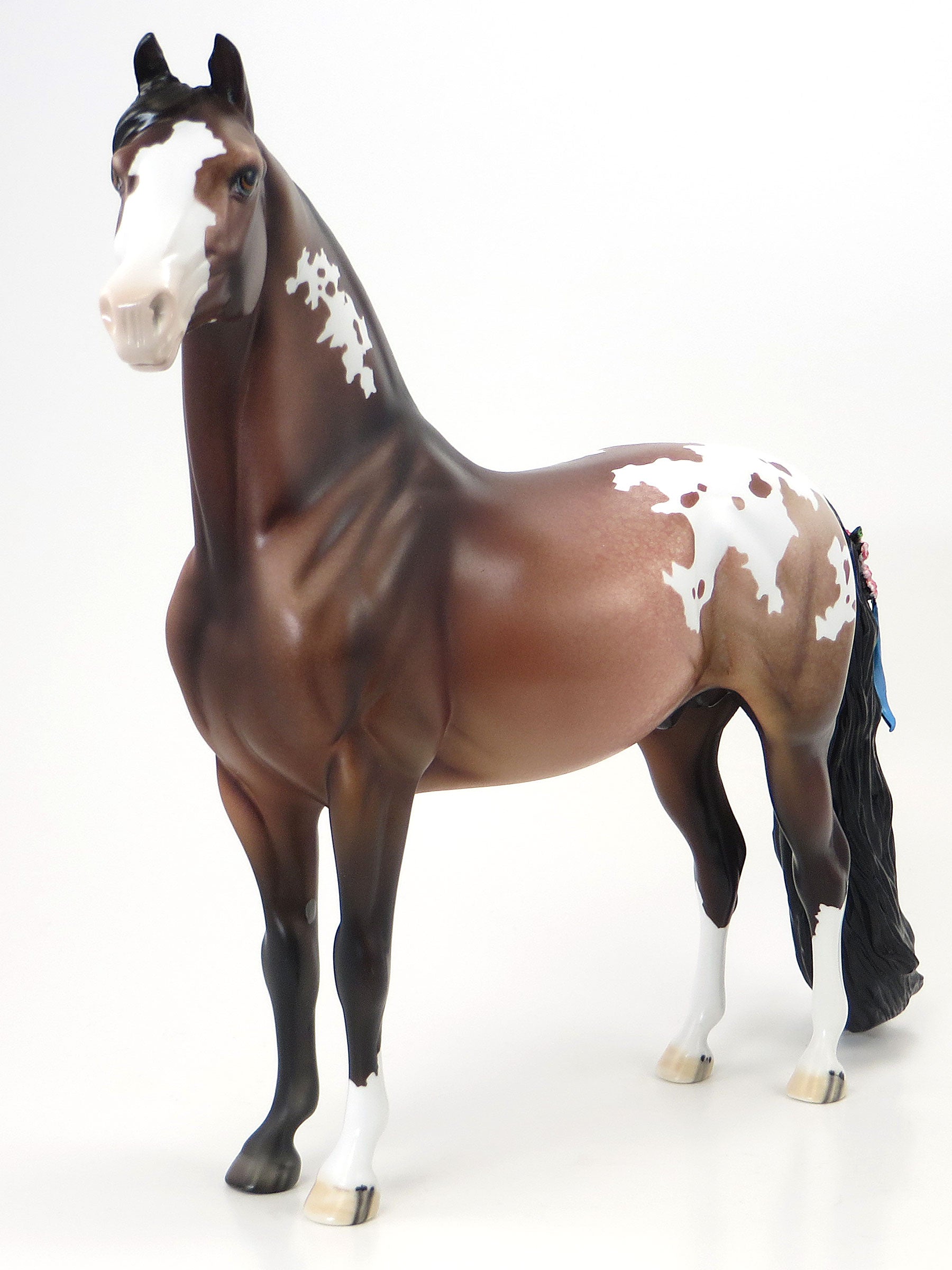 THE VELVETEEN RABBIT - OOAK Bay Appaloosa Morgan with Blue Ribbons &amp; Flowers - 6/19