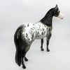 Appaloosa