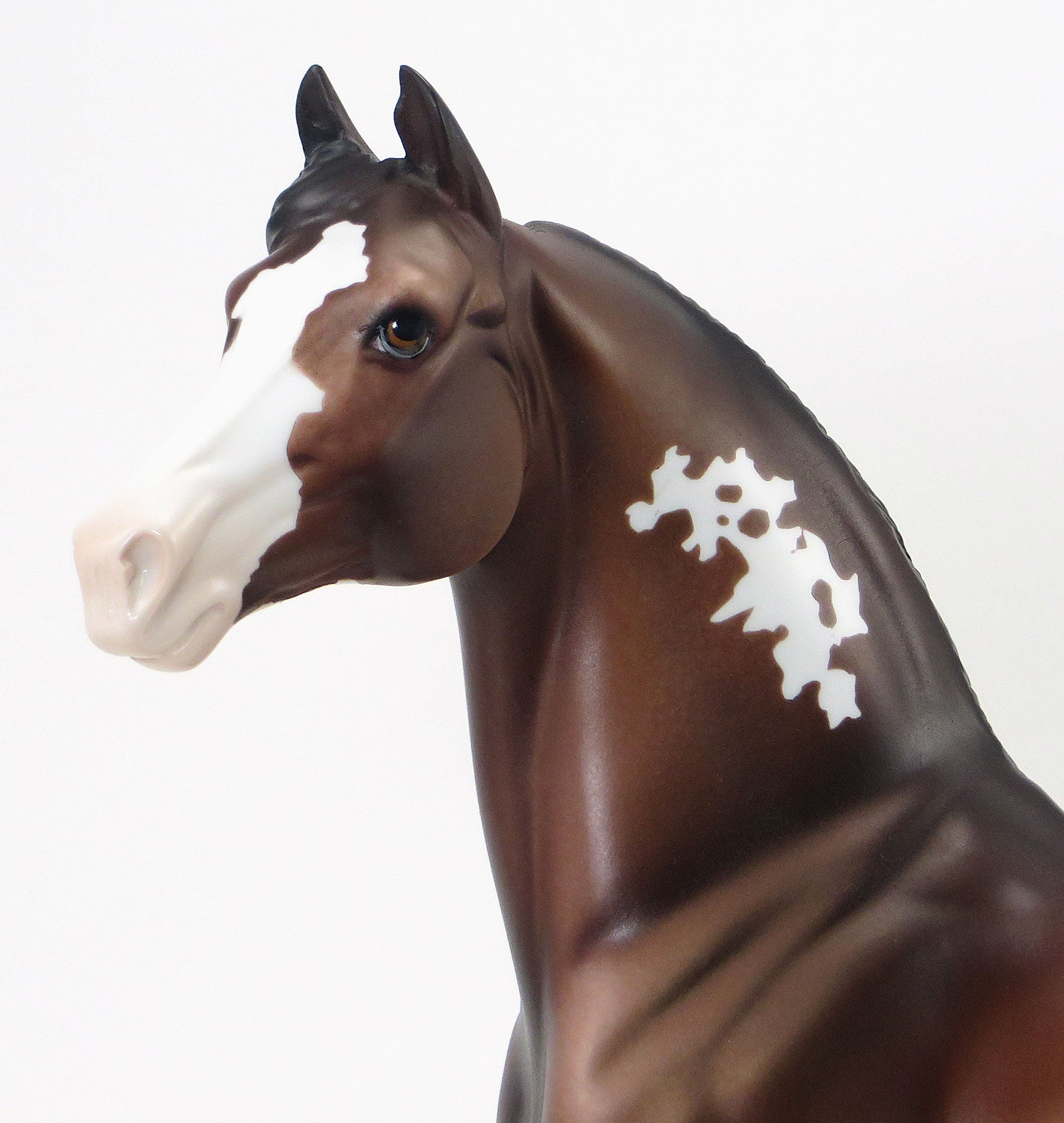 THE VELVETEEN RABBIT - OOAK Bay Appaloosa Morgan with Blue Ribbons &amp; Flowers - 6/19