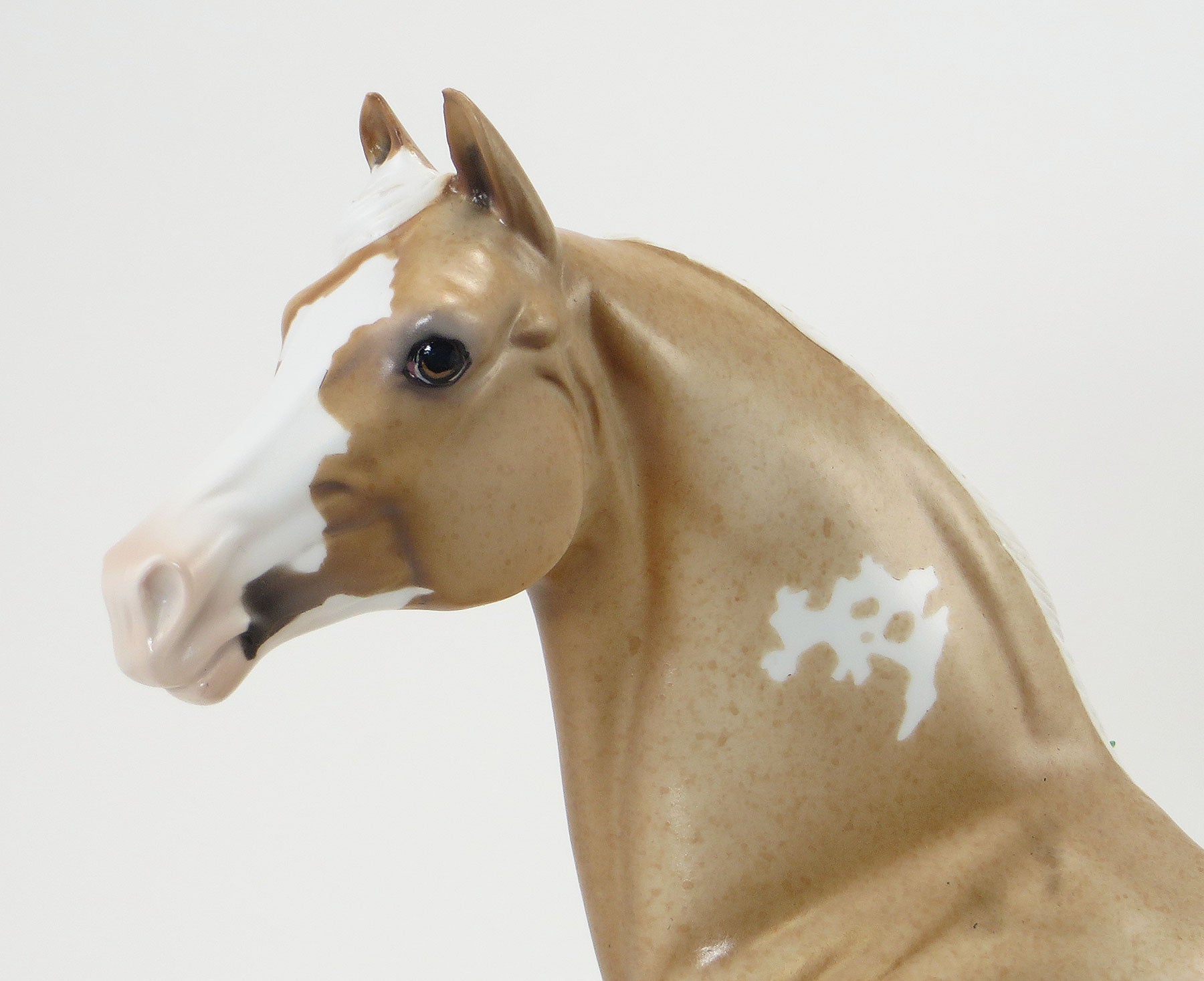 THE LORAX - OOAK Palomino Roan Appaloosa Morgan with Purple Ribbons and Flowers - 6/19