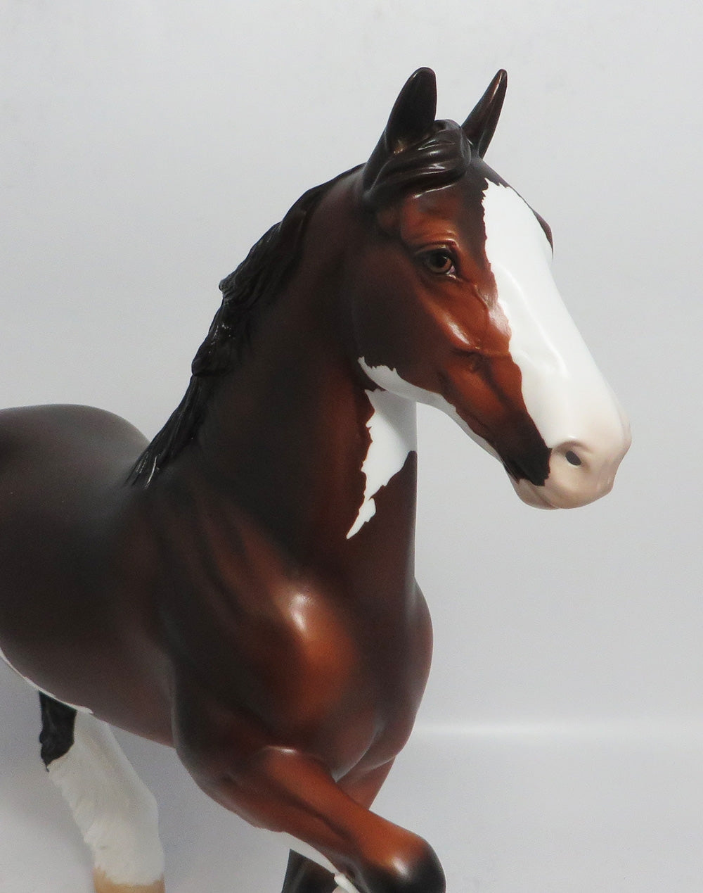 NORTH WIND - LE7 BAY PINTO TROTTING DRAFT MODEL HORSE SHCF2018