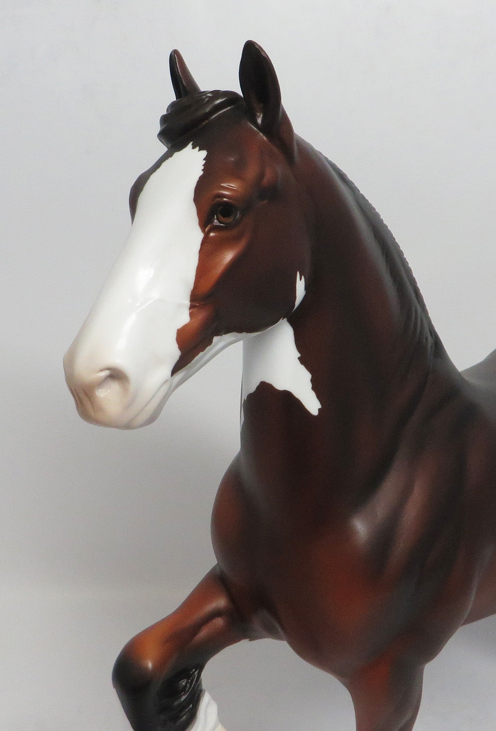 NORTH WIND - LE7 BAY PINTO TROTTING DRAFT MODEL HORSE SHCF2018