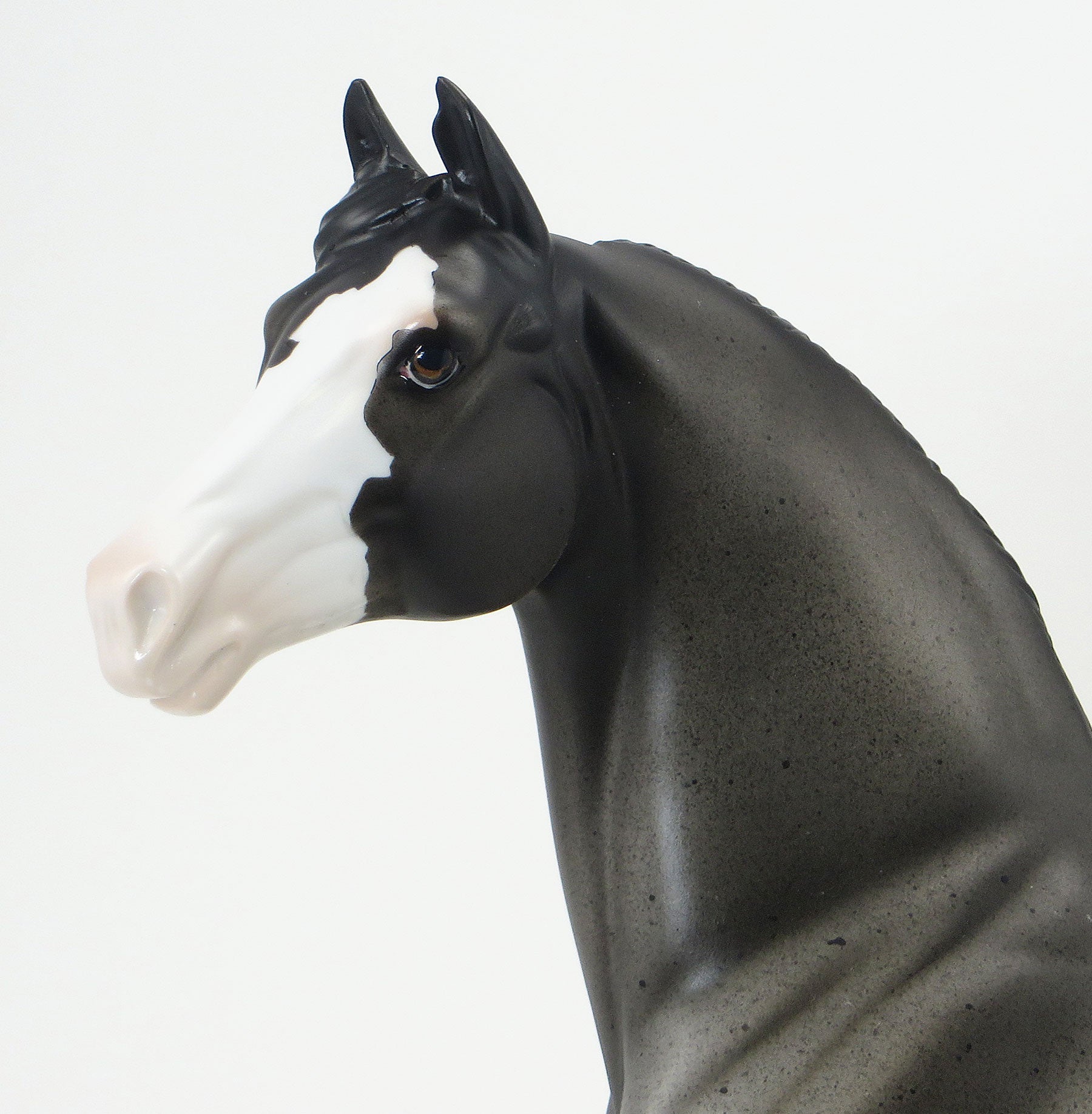 IF YOU GIVE A MOUSE A COOKIE- OOAK Blue Roan Appy Morgan Model Horse with Green Ribbons &amp; Flowers - 6/19