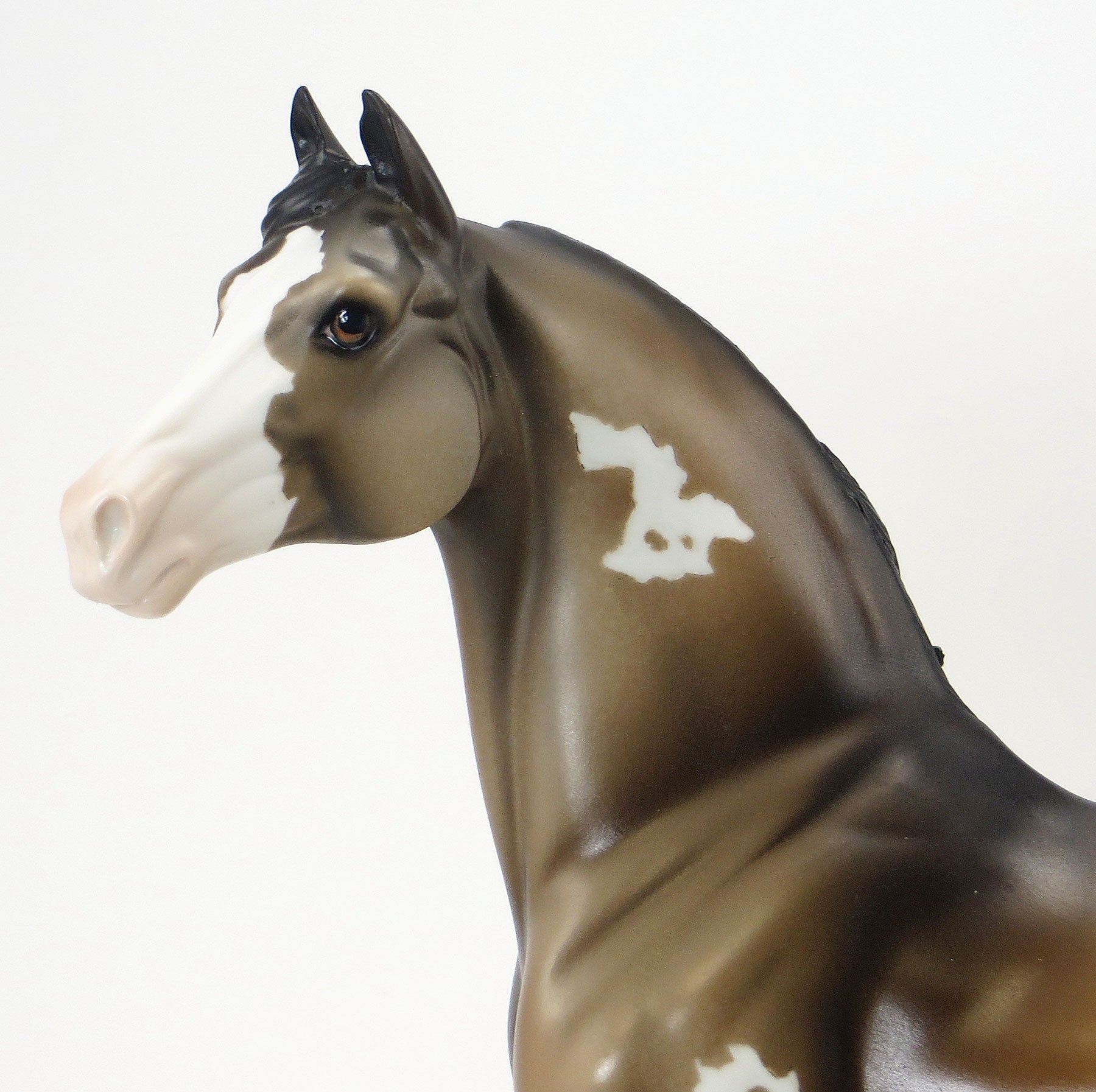 CORDUROY - OOAK Dun Appaloosa Morgan with Pink Ribbons &amp; Flowers - 6/19