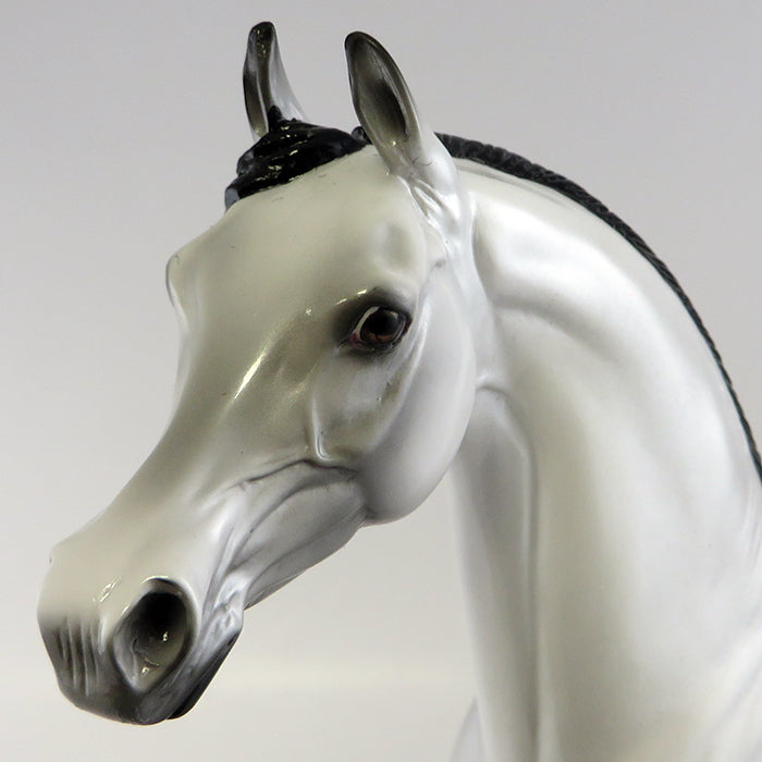 SAMPSON-LE-8 DAPPLE GREY ARABIAN MODEL HORSE EQ 2016