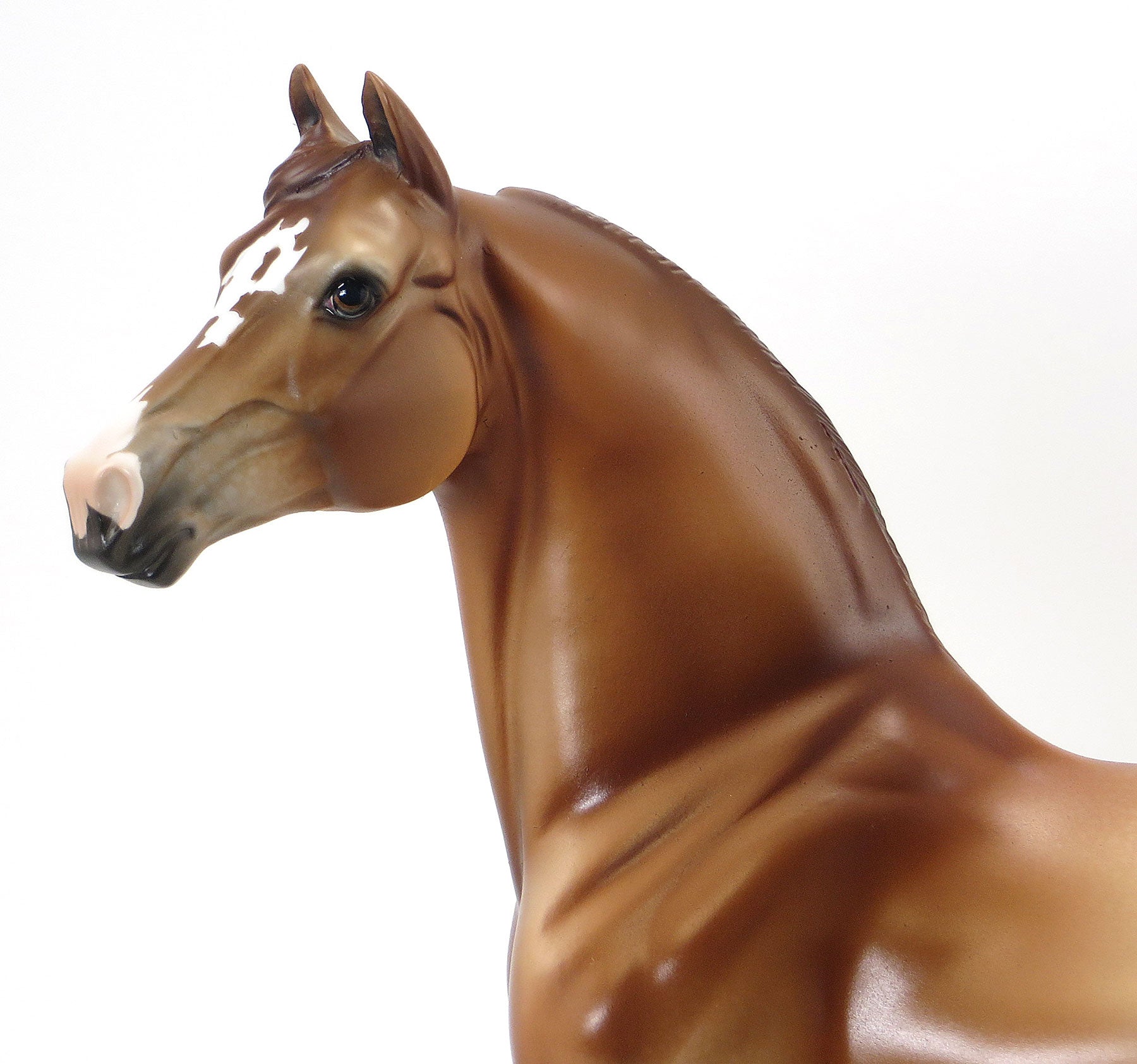 FOX IN SOCKS - OOAK Chestnut Appaloosa Morgan Model Horse with Blue Ribbons &amp; Flowers - 6/19