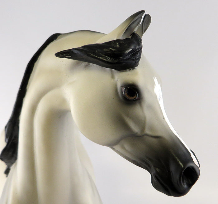 CURVEY OOAK GREY WITH BLACK POINTS ARABIAN 6/14