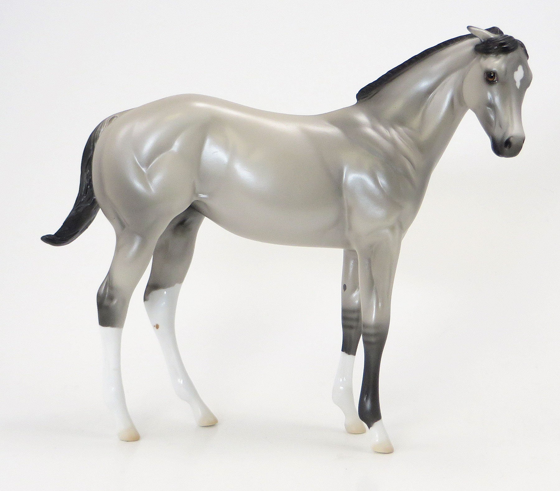 MILLIONS OF CATS- OOAK Silver Grulla Weanling 6/19