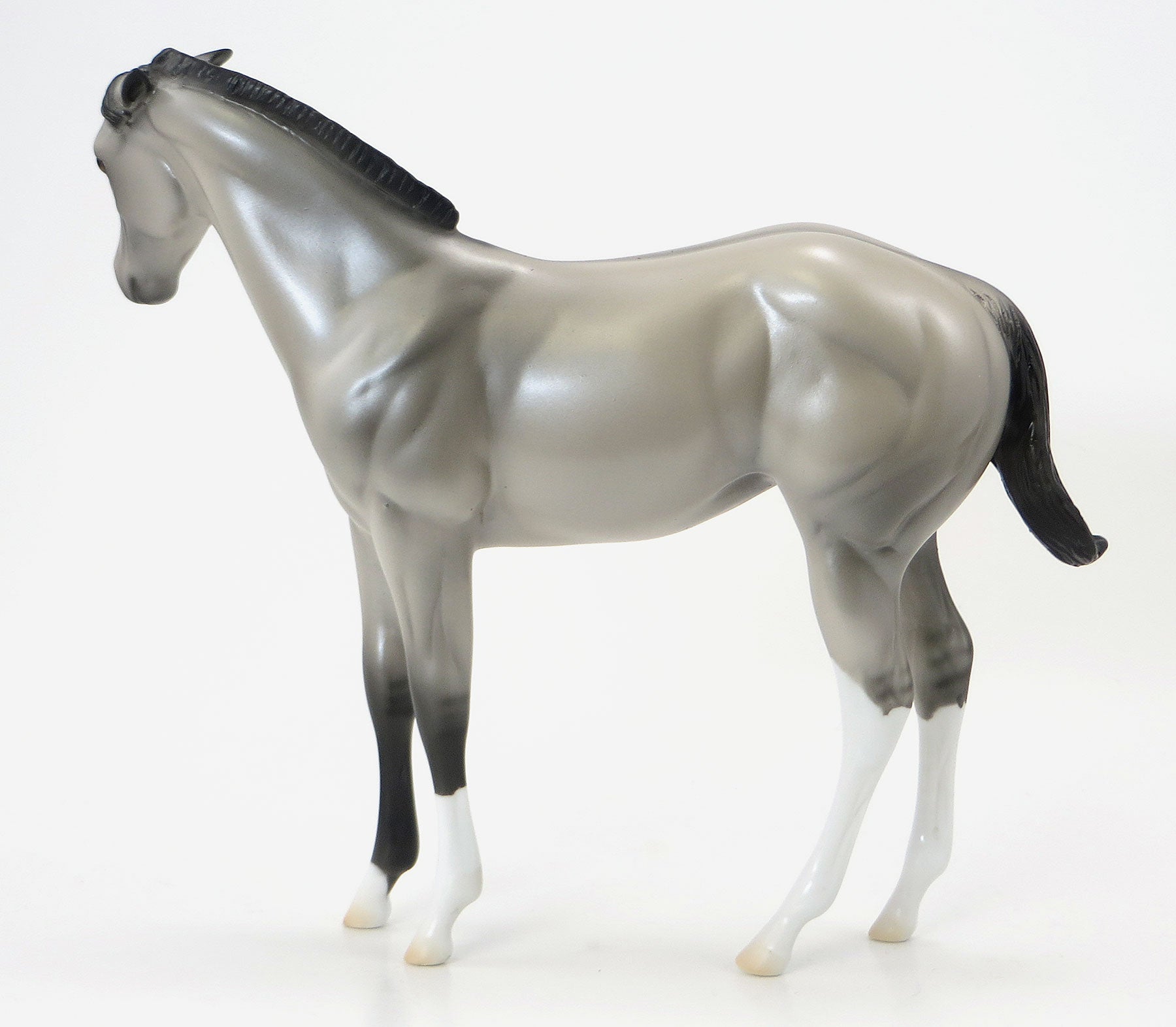 MILLIONS OF CATS- OOAK Silver Grulla Weanling 6/19