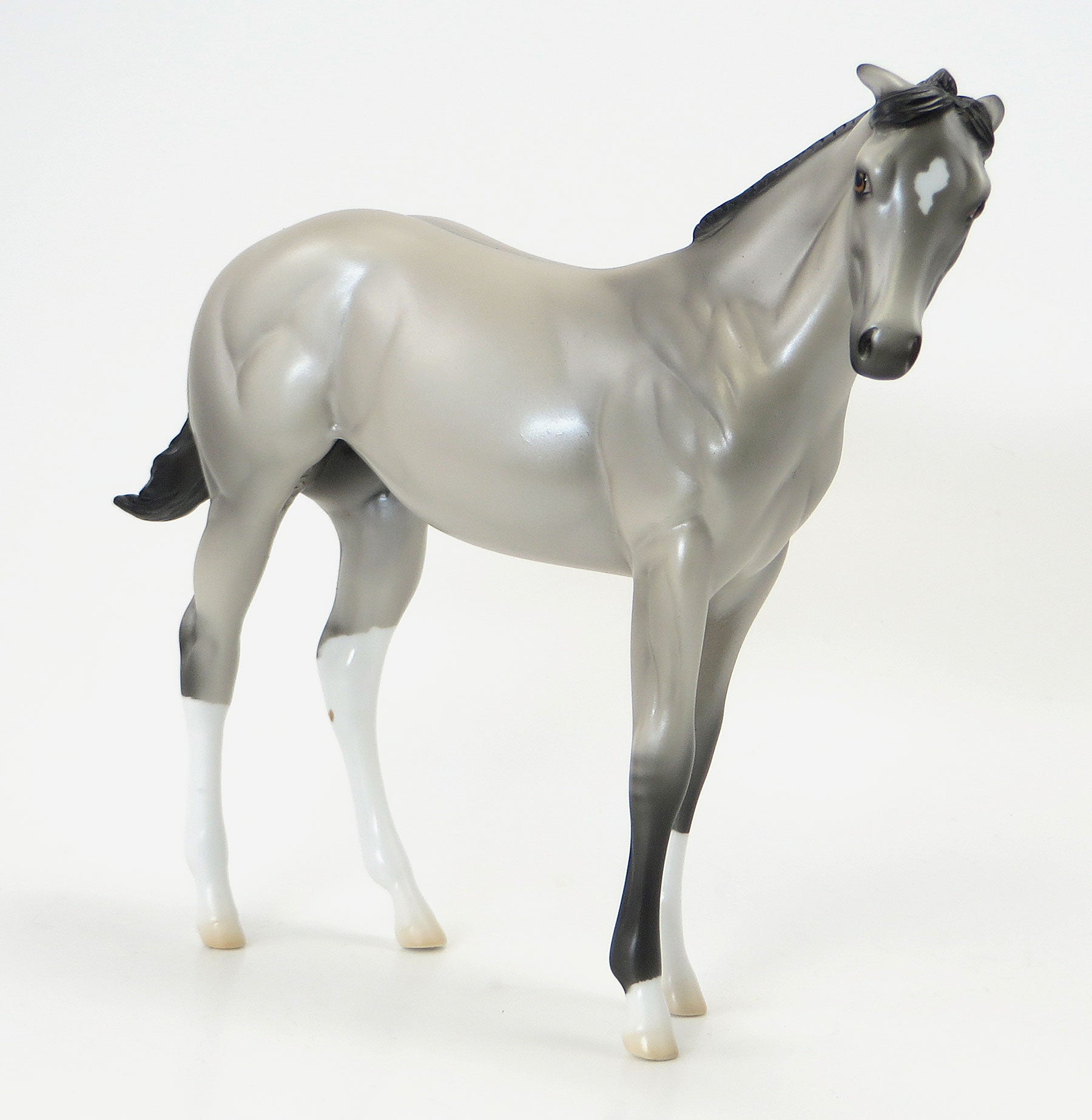 MILLIONS OF CATS- OOAK Silver Grulla Weanling 6/19