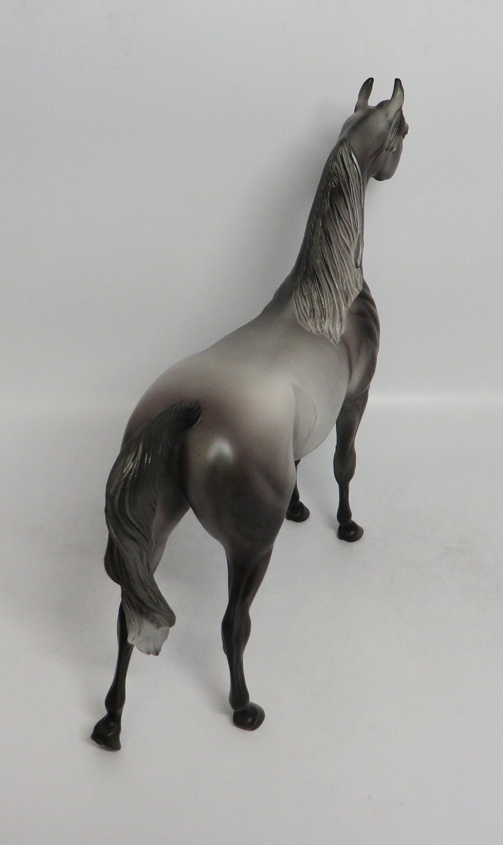 MORNING MIST - OOAK DAPPLE GREY ARABIAN MODEL HORSE 3/29/2018