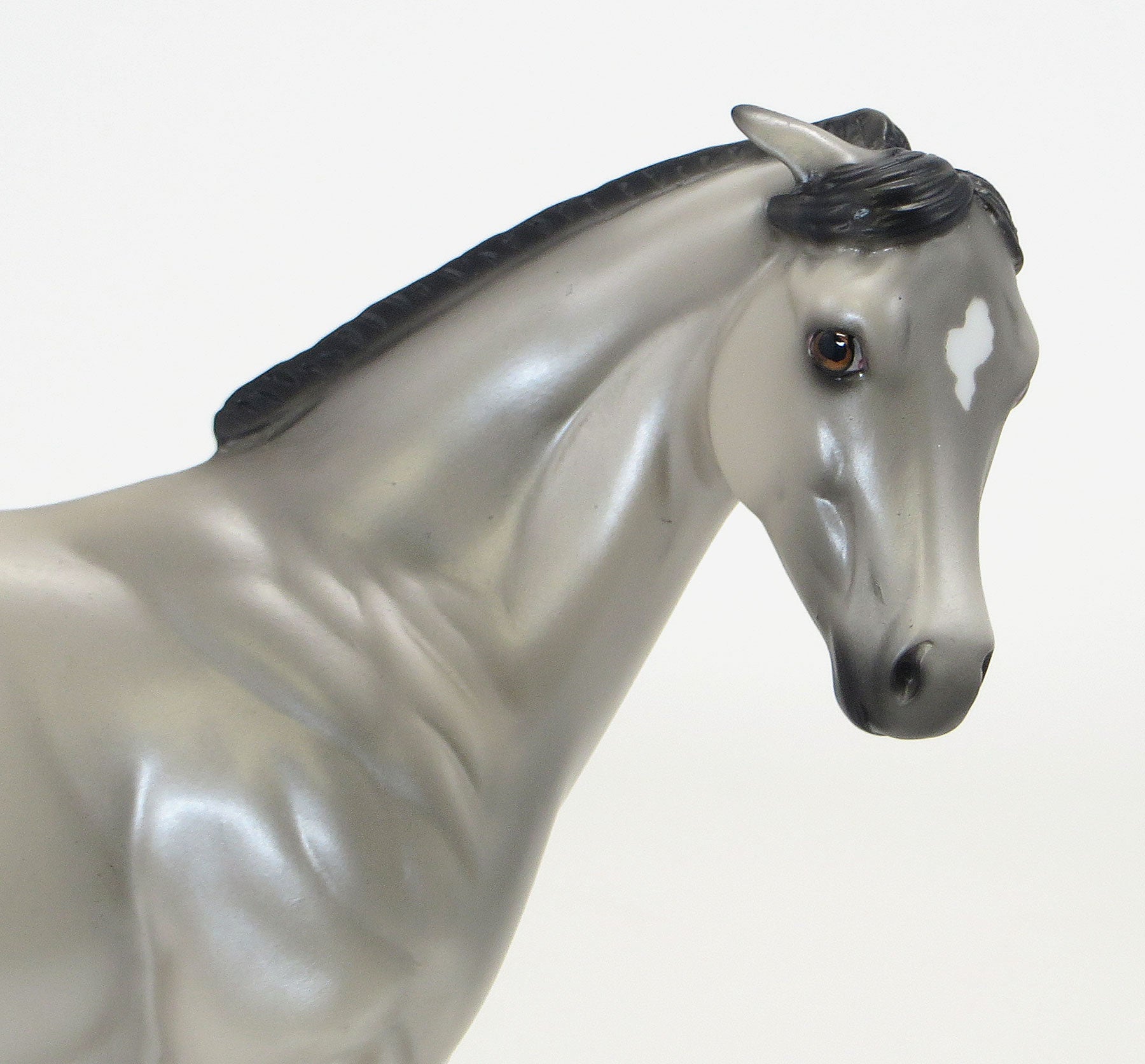 MILLIONS OF CATS- OOAK Silver Grulla Weanling 6/19