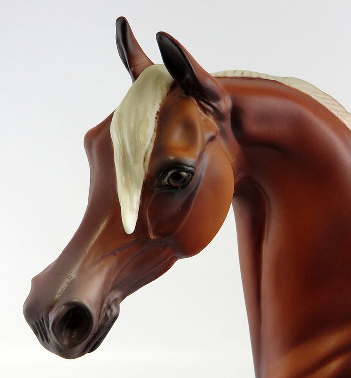 FOUR SKILLFUL BROTHERS OOAK CHESTNUT ARABIAN  EQ 2016