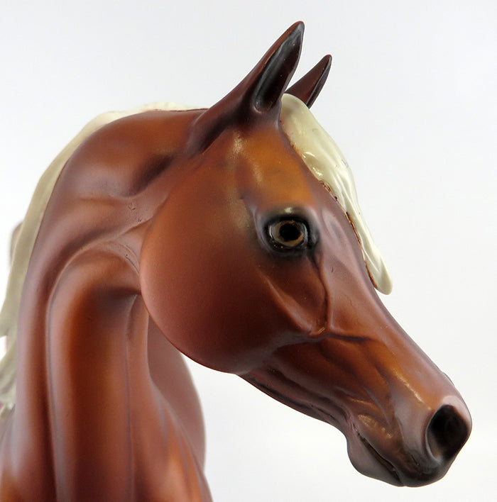 FOUR SKILLFUL BROTHERS OOAK CHESTNUT ARABIAN  EQ 2016