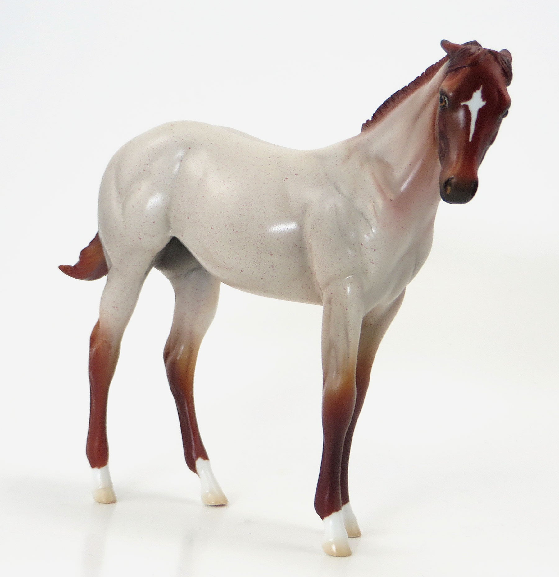 THE CAT IN THE HAT - OOAK Red Roan Weanling Model Horse - 6/19