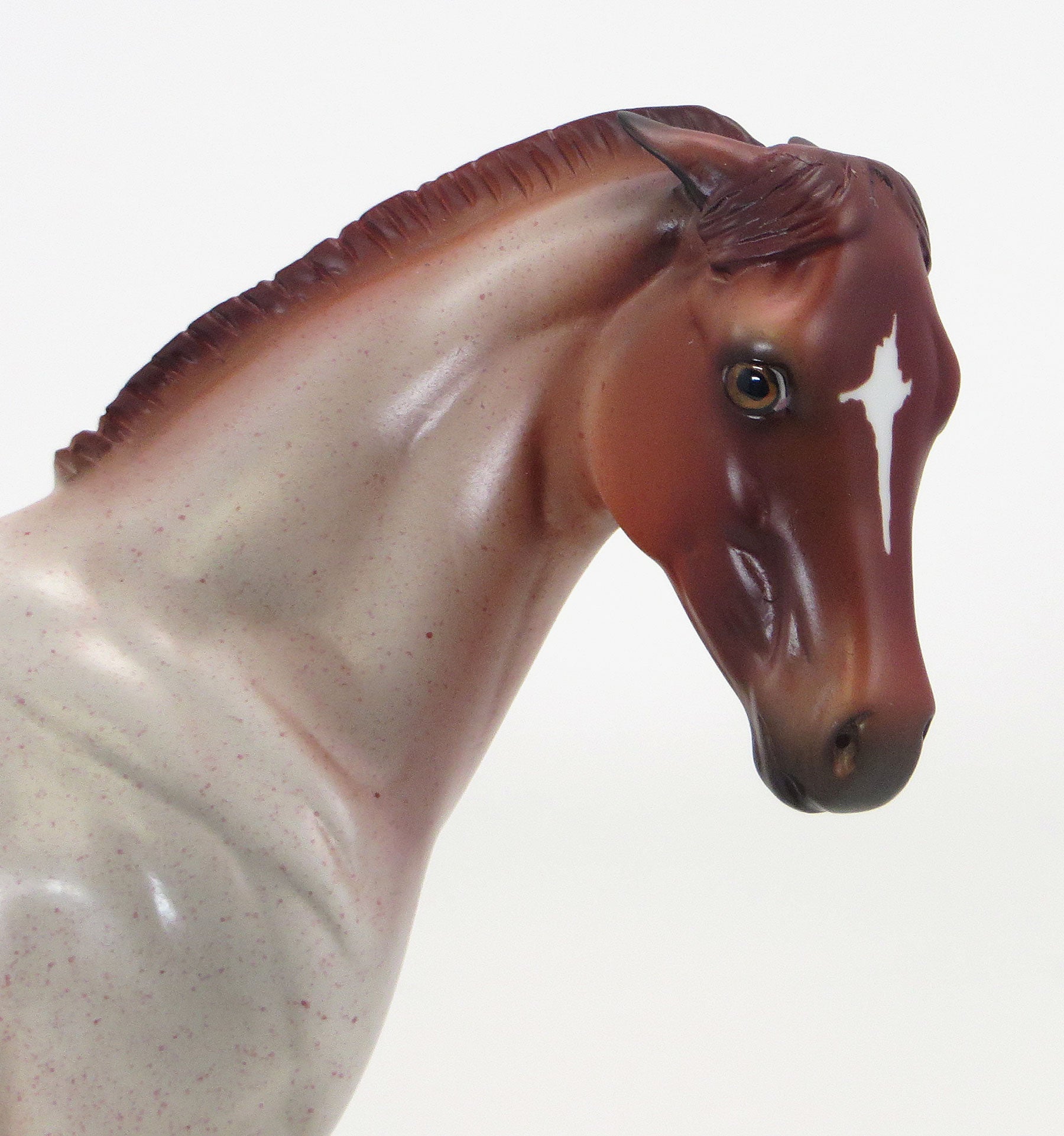 THE CAT IN THE HAT - OOAK Red Roan Weanling Model Horse - 6/19