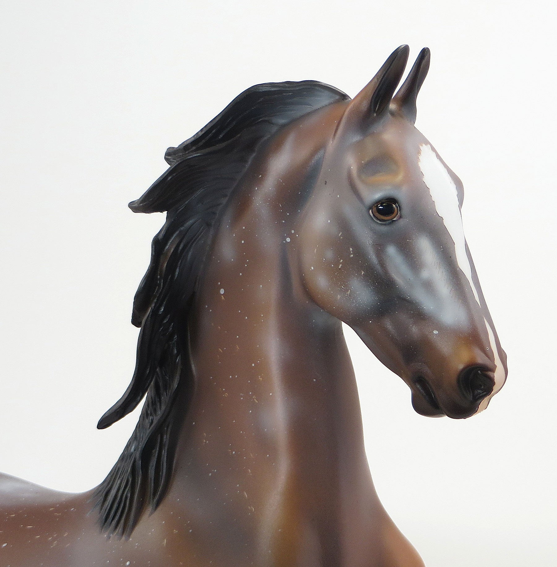 LITTLE BIG TOP - OOAK Seal Bay Appaloosa Saddlebred - 6/26