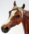 Arabian