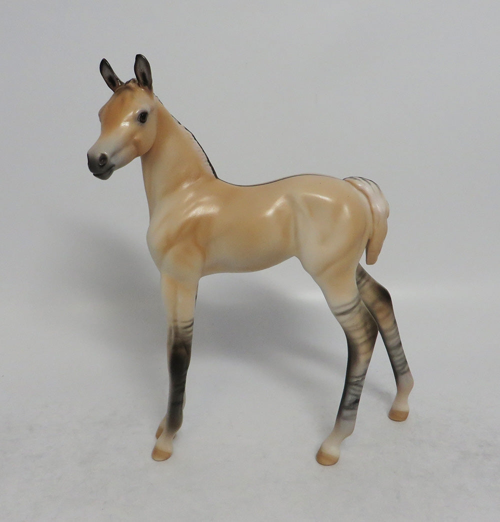 HONEY BUN - OOAK FJORD DUN FOAL MODEL HORSE 3/29/2018