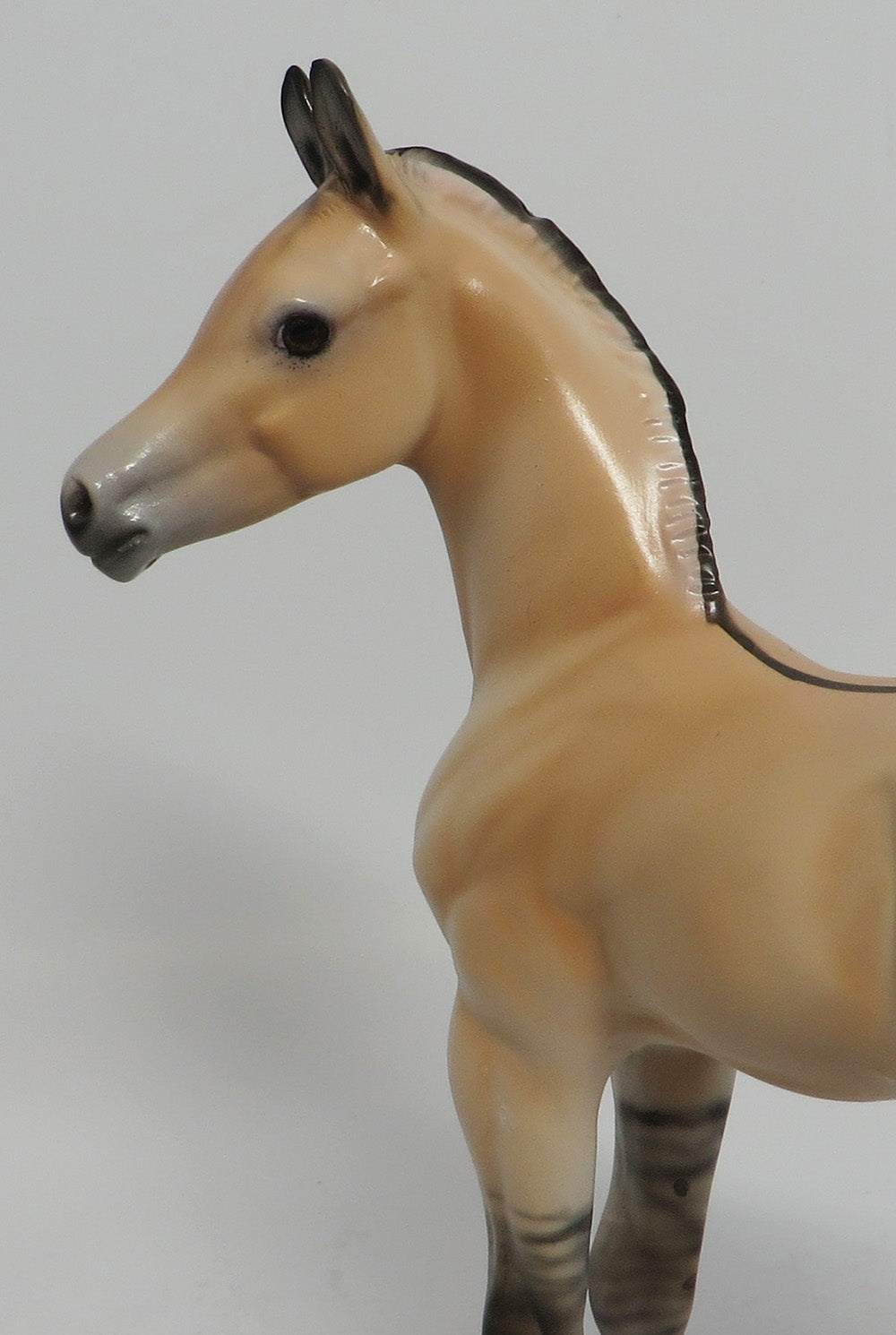 HONEY BUN - OOAK FJORD DUN FOAL MODEL HORSE 3/29/2018