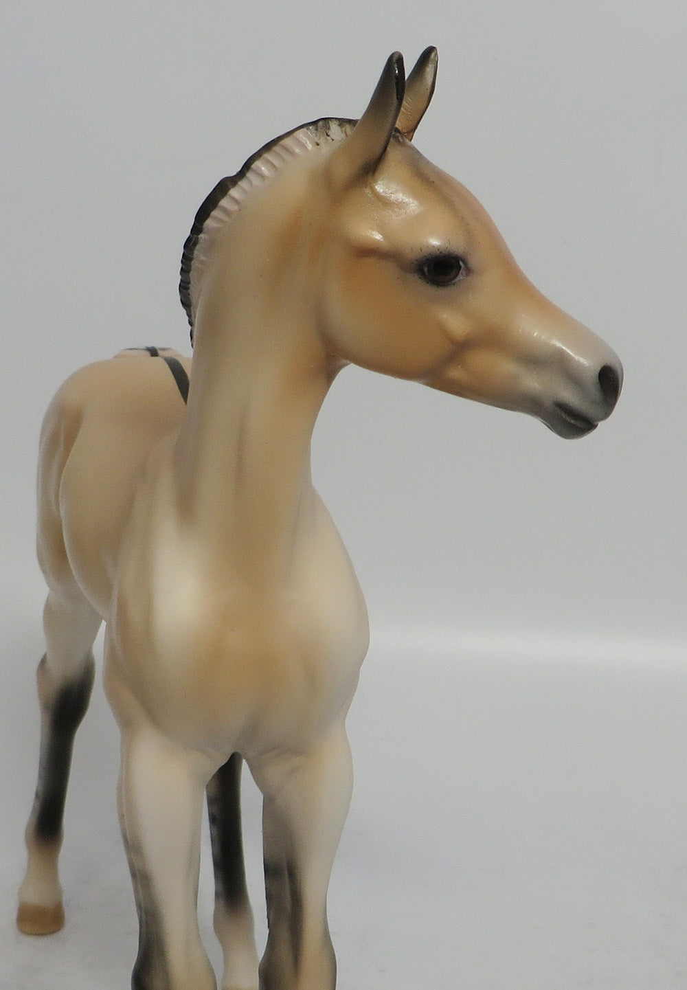 HONEY BUN - OOAK FJORD DUN FOAL MODEL HORSE 3/29/2018