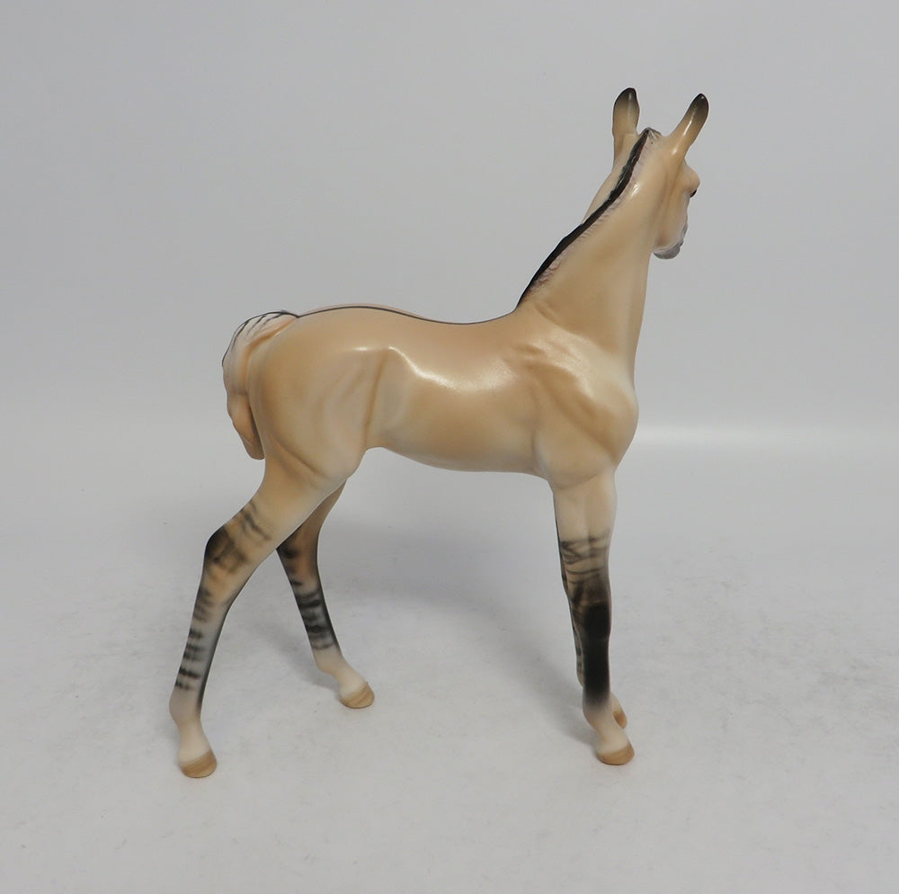 HONEY BUN - OOAK FJORD DUN FOAL MODEL HORSE 3/29/2018