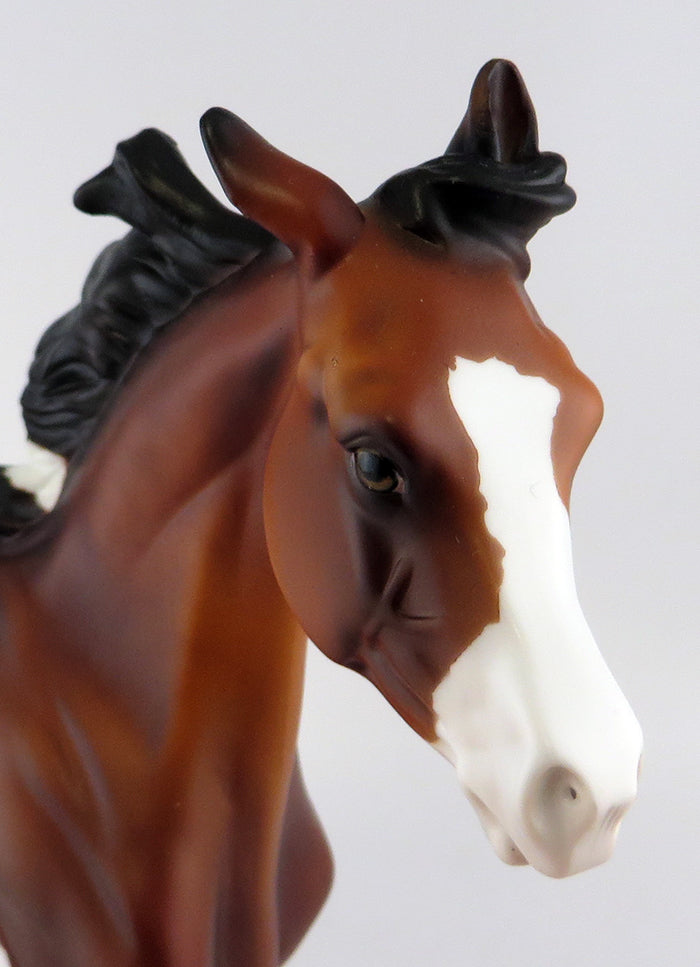 GREELY-BAY TOBIANO ARABIAN YEARLING SPRINGAMATHING 2016