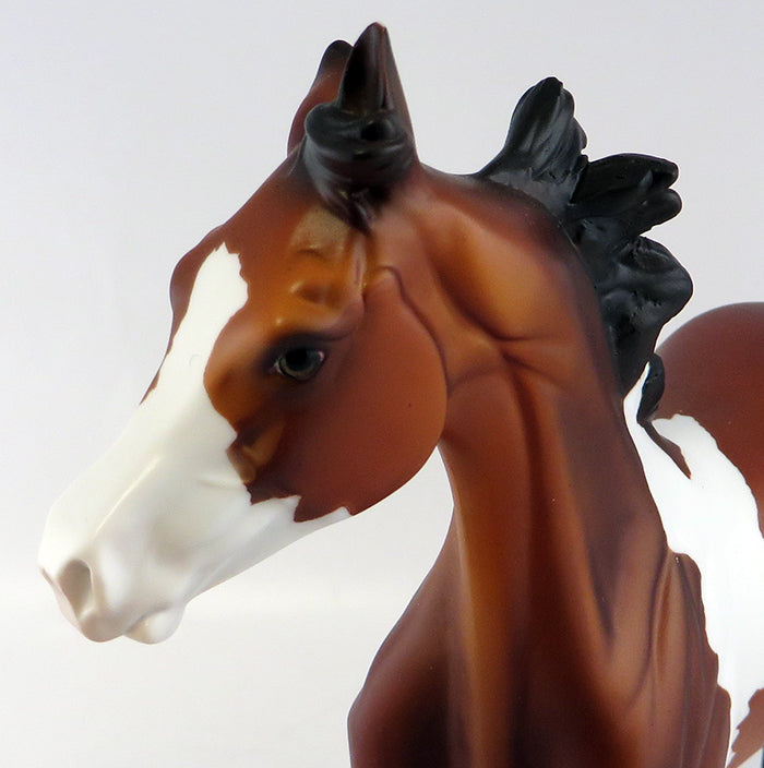 GREELY-BAY TOBIANO ARABIAN YEARLING SPRINGAMATHING 2016