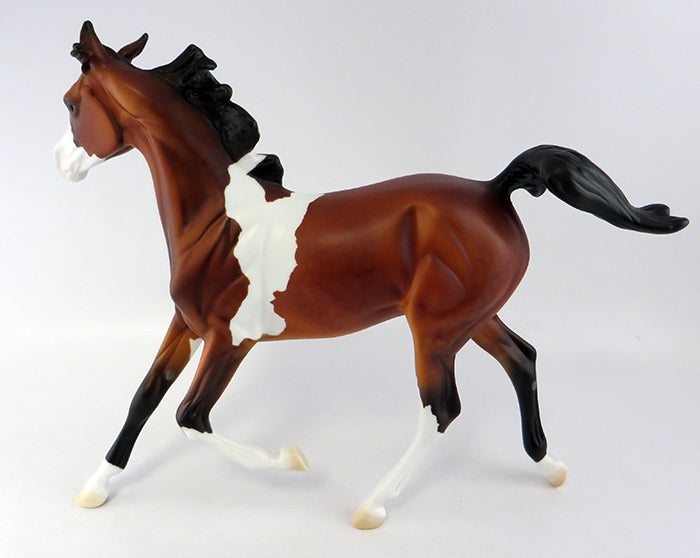 GREELY-BAY TOBIANO ARABIAN YEARLING SPRINGAMATHING 2016