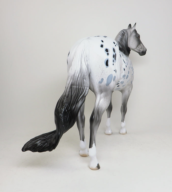 peter stone appaloosa