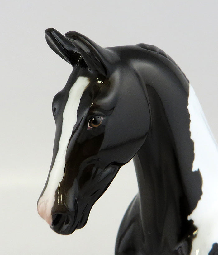 PRINCESS HILDAGARD-LE-7 BLACK AND WHITE PINTO PEBBLES EQ 2016