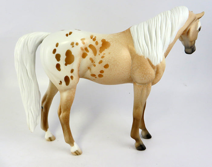 Appaloosa