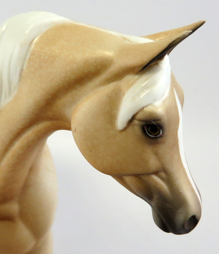 GRETAL-LE-12 PALOMINO APPALOOSA PEBBLES EQ 2016