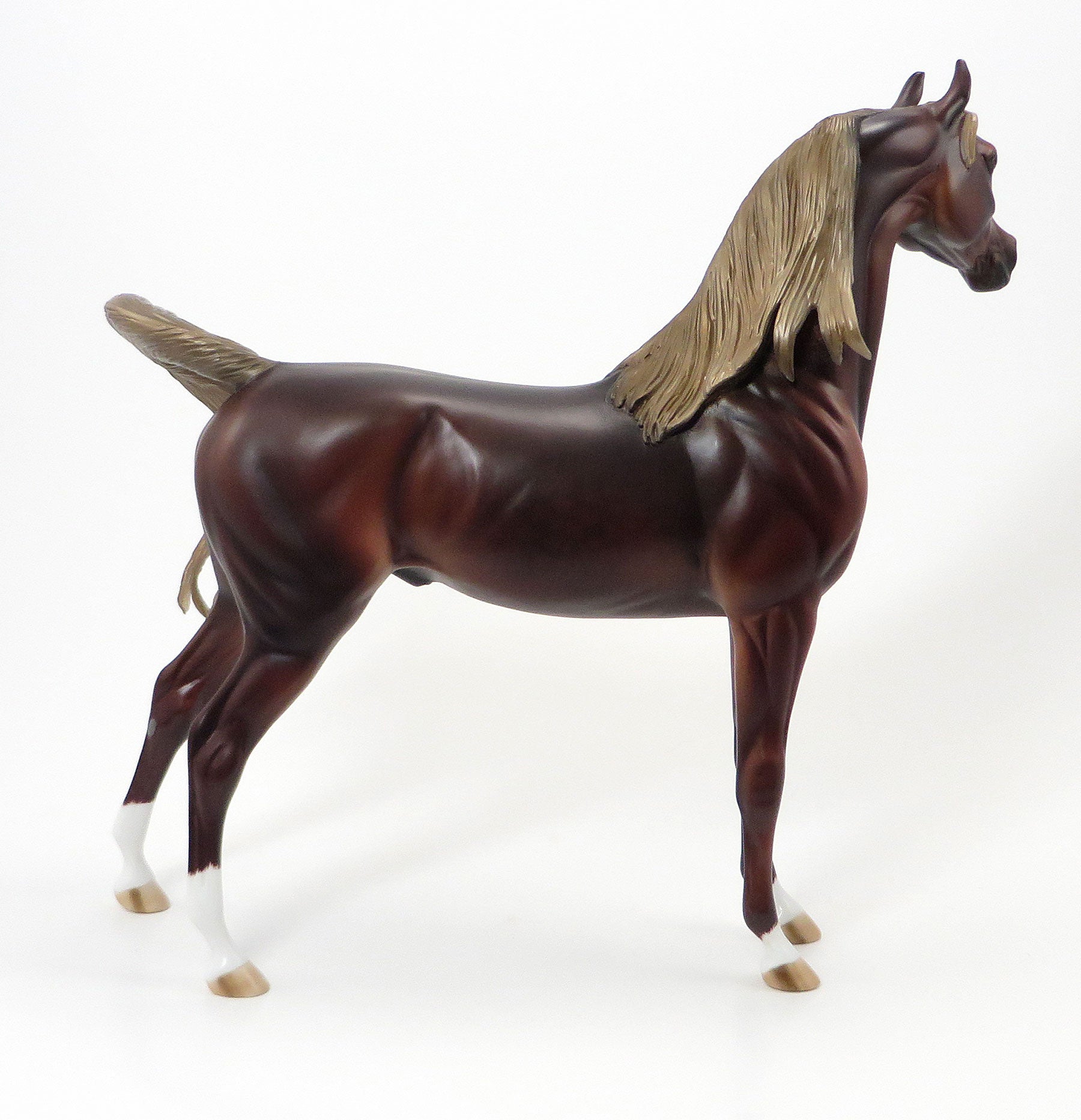 THE LITTLE RED HEN - OOAK Dapple Chestnut Arabian 6/19