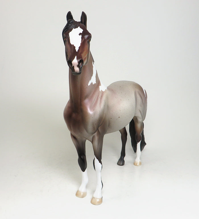 freesia morgan paint 