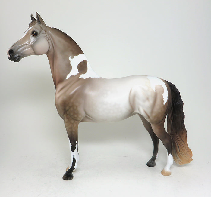 chestnut roan paint morgan 