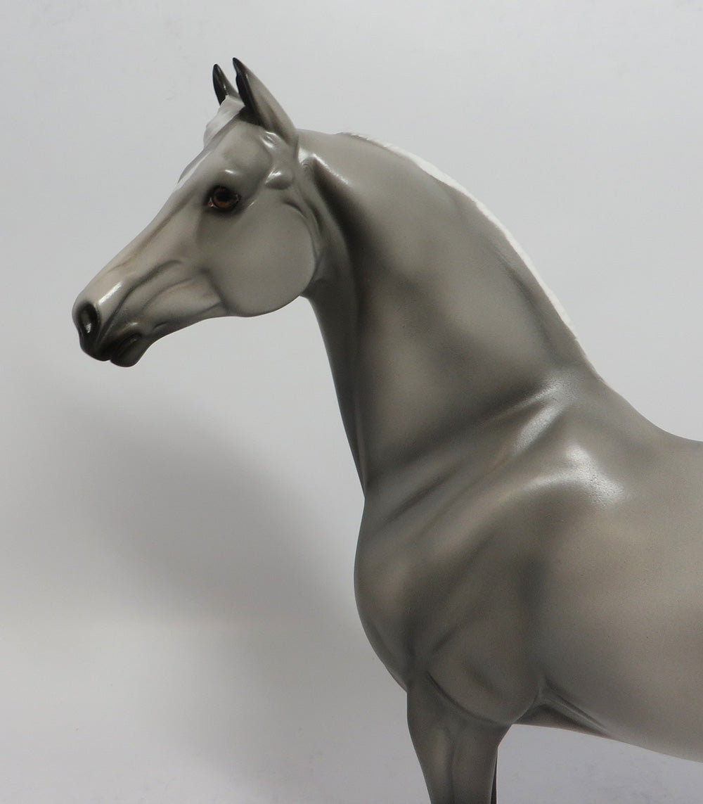 TWO STEP - OOAK GREY MORGAN MODEL HORSE SHCF2018