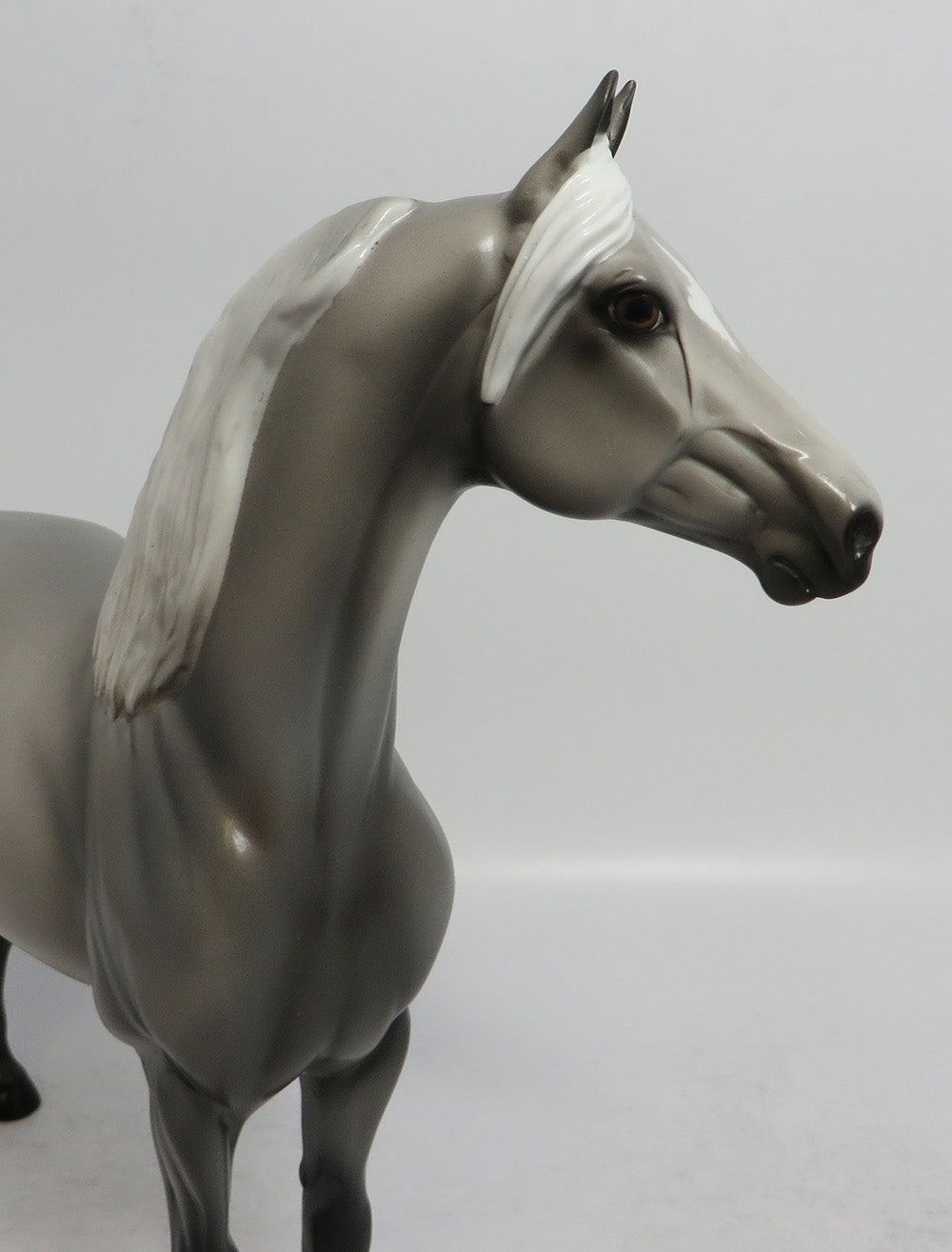 TWO STEP - OOAK GREY MORGAN MODEL HORSE SHCF2018
