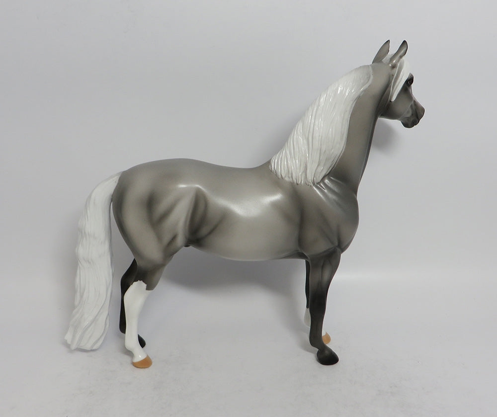 TWO STEP - OOAK GREY MORGAN MODEL HORSE SHCF2018