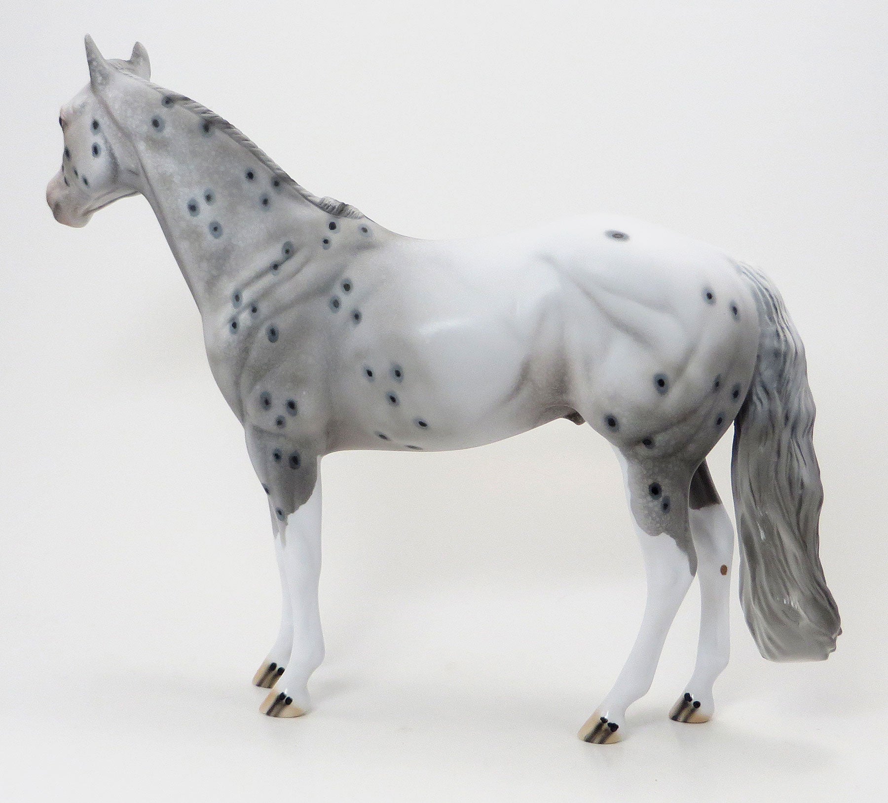 TUESDAY - Grey Leopard Appaloosa Model Stock Horse - LE5 - 6/15