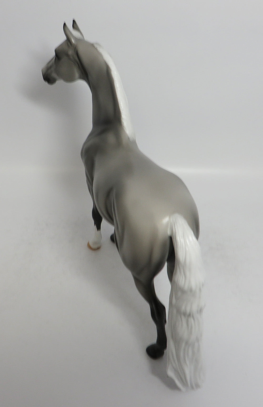 TWO STEP - OOAK GREY MORGAN MODEL HORSE SHCF2018