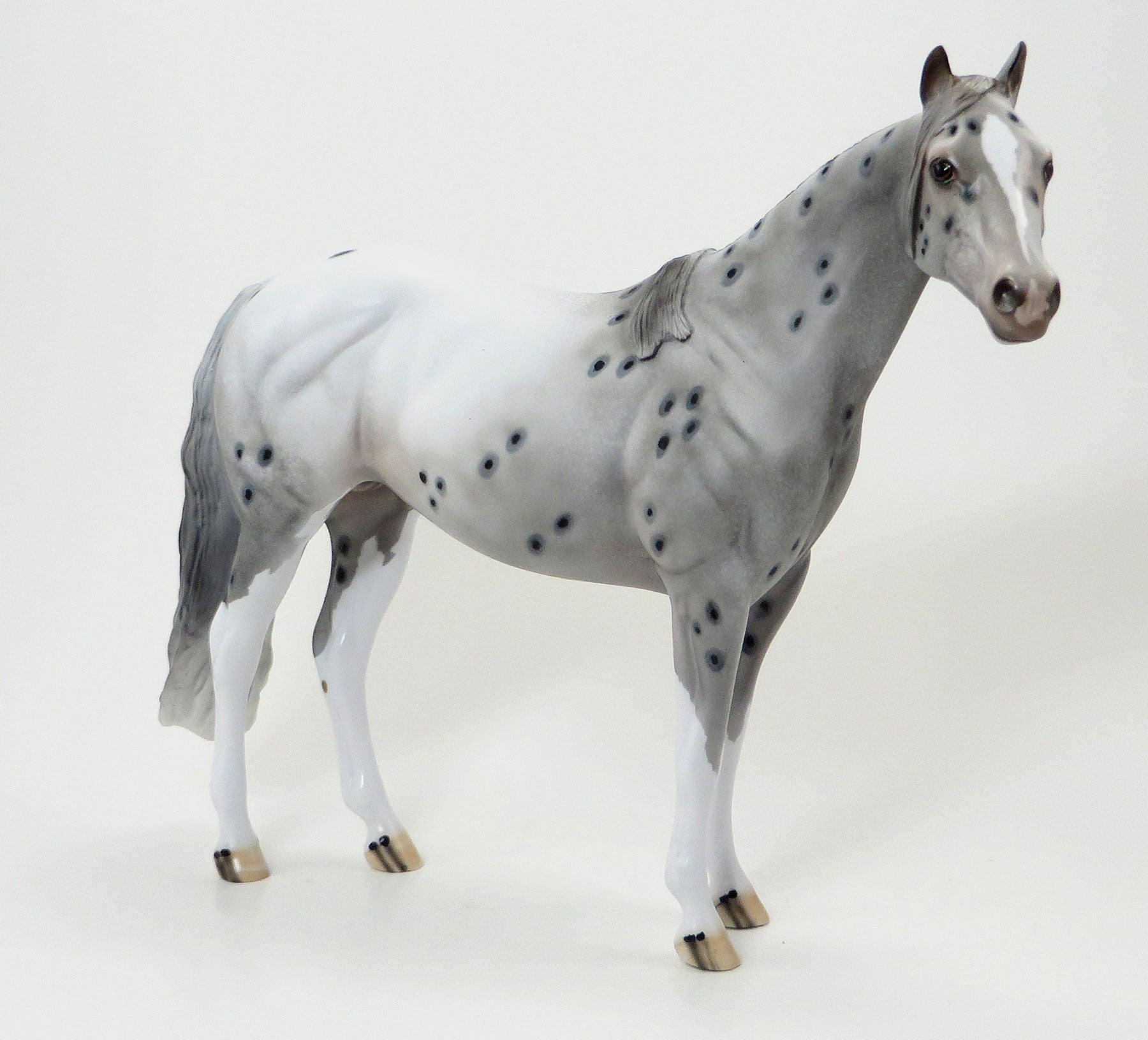 TUESDAY - Grey Leopard Appaloosa Model Stock Horse - LE5 - 6/15