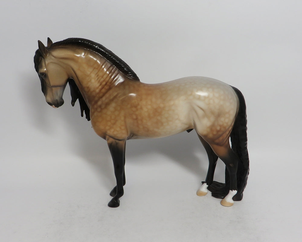 SOLANO - LE8 DAPPLE BUCKSKIN ANDALUSIAN MODEL HORSE SHCF2018